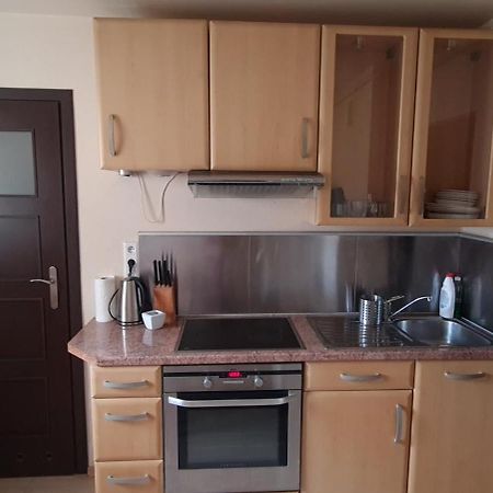 Apartament Czarny Potok Krynica Zdroj Exterior foto